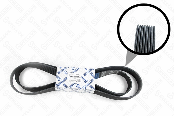 V-Ribbed Belt (08-02120-SX)