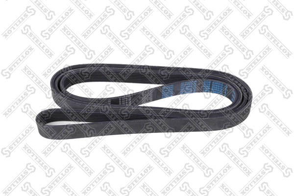V-Ribbed Belt (07-02535-SX)