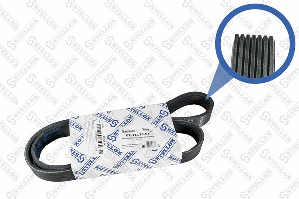 V-Ribbed Belt (07-11125-SX)
