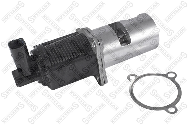 EGR Valve (01-25016-SX)