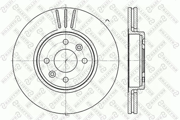 Brake Disc (6020-3919V-SX)
