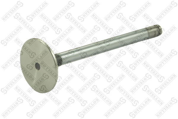 Exhaust Valve (01-24074-SX)