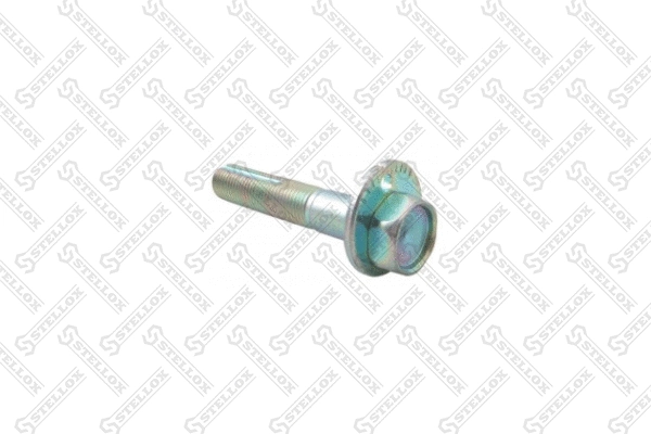 Screw (79-01106-SX)