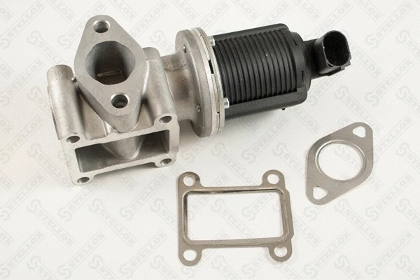 EGR Valve (01-25058-SX)