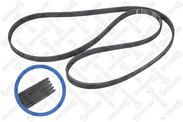 V-Ribbed Belt (05-01885-SX)