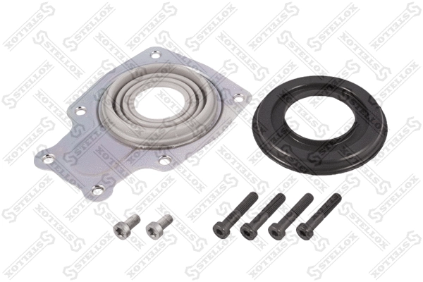 Repair Kit, brake caliper (85-10412-SX)