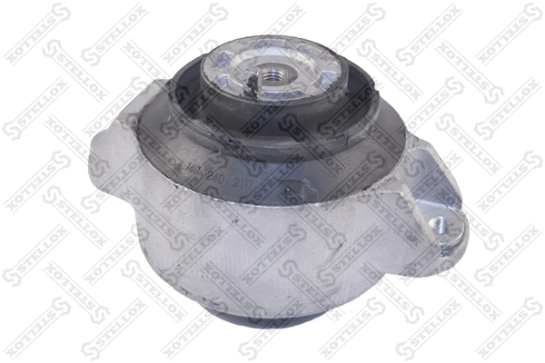 Mounting, engine (25-17079-SX)