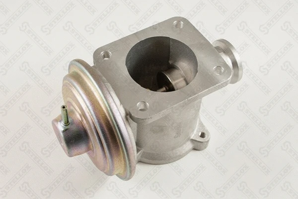 EGR Valve (01-25082-SX)