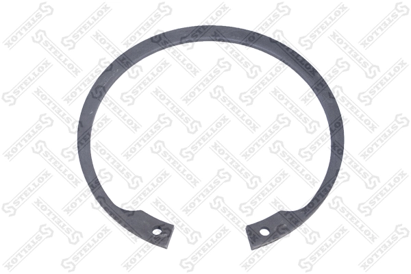 Circlip (89-03619-SX)