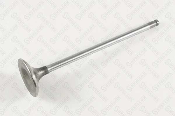 Intake Valve (01-24372-SX)