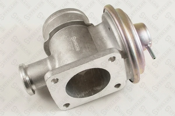 EGR Valve (01-25053-SX)