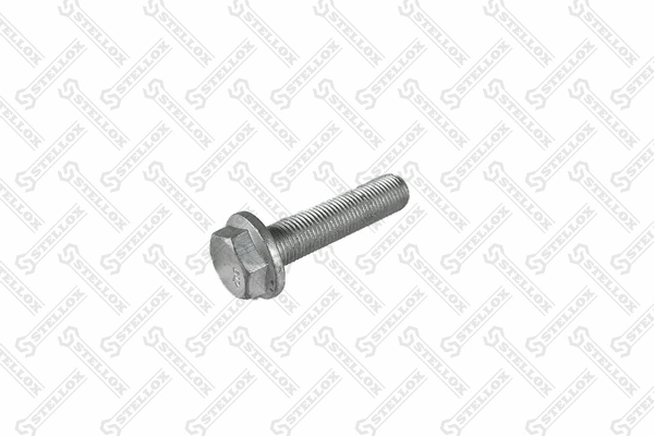 Screw (89-00601-SX)