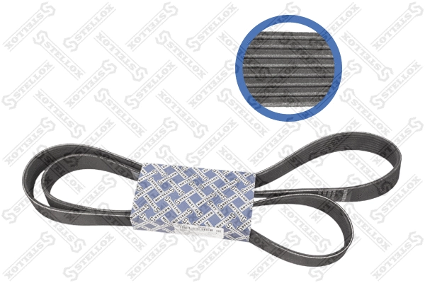 V-Ribbed Belt (08-01910-SX)