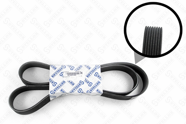 V-Ribbed Belt (08-01600-SX)