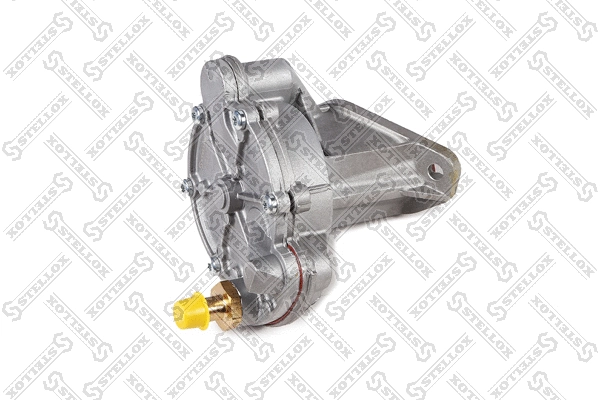 Vacuum Pump, braking system (10-02517-SX)