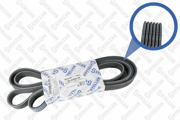 V-Ribbed Belt (06-02565-SX)