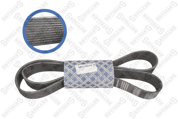 V-Ribbed Belt (01-21815-SX)