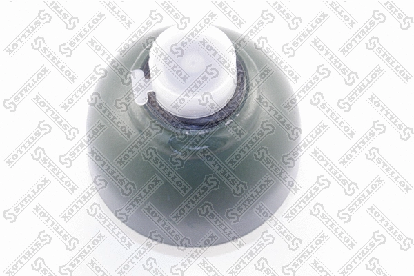 Pressure Accumulator, pneumatic suspension (70-00060-SX)