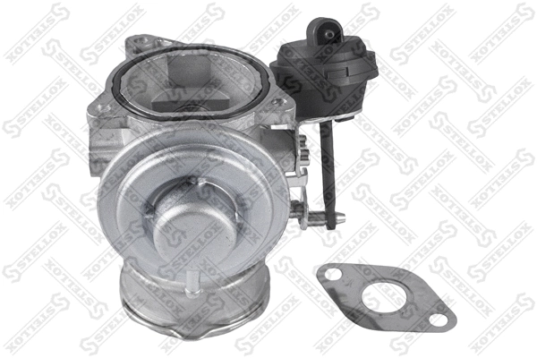 EGR Valve (01-25007-SX)