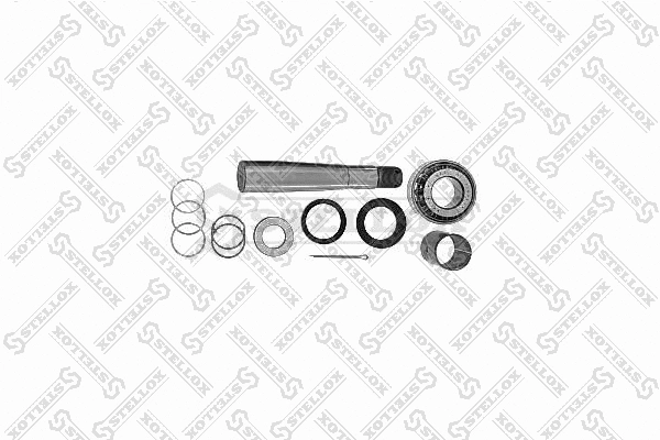 Repair Kit, kingpin (84-16027-SX)