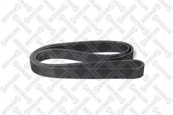 V-Ribbed Belt (09-01880-SX)