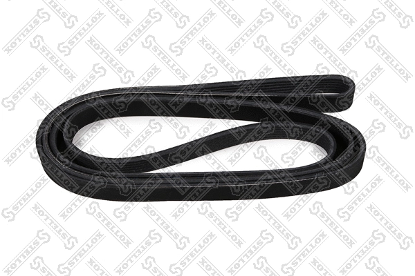 V-Ribbed Belt (06-02360-SX)