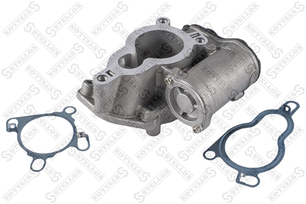 EGR Valve (01-25013-SX)