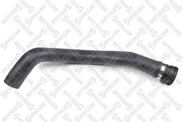 Radiator Hose (81-10051-SX)
