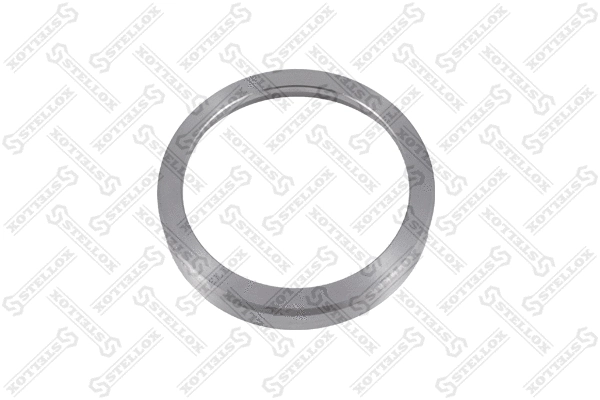 Ring, wheel hub (83-01802-SX)