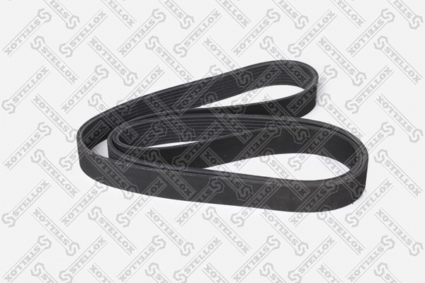 V-Ribbed Belt (08-01565-SX)