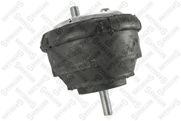Mounting, engine (25-17138-SX)