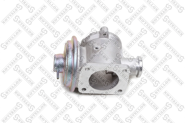 EGR Valve (01-25066-SX)