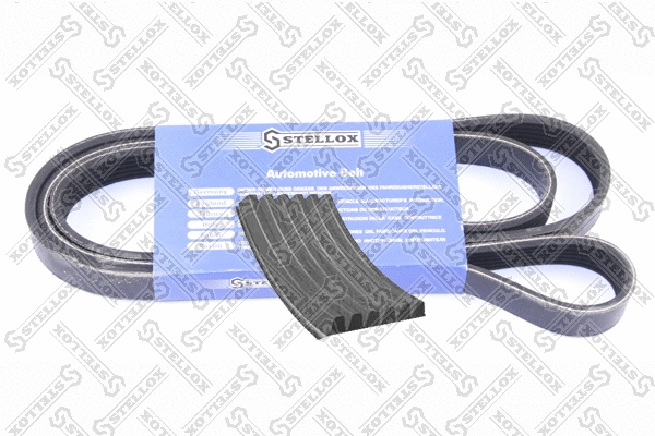 V-Ribbed Belt (06-01215-SX)