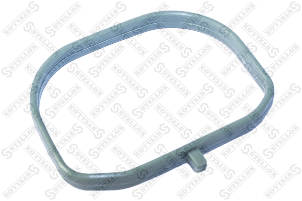 Gasket, intake manifold (11-26011-SX)