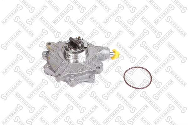 Vacuum Pump, braking system (10-02501-SX)