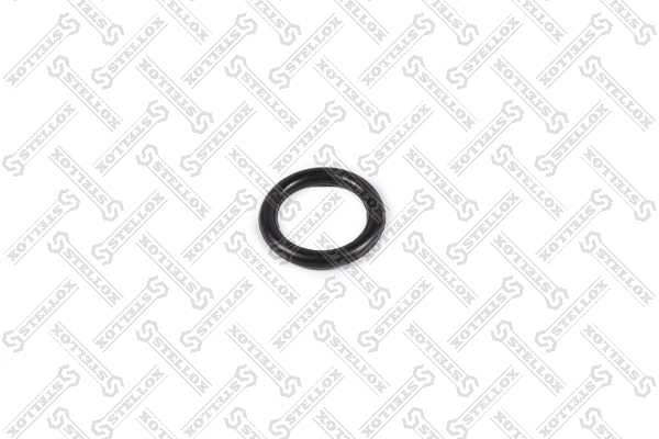 Gasket, intake manifold (11-26109-SX)