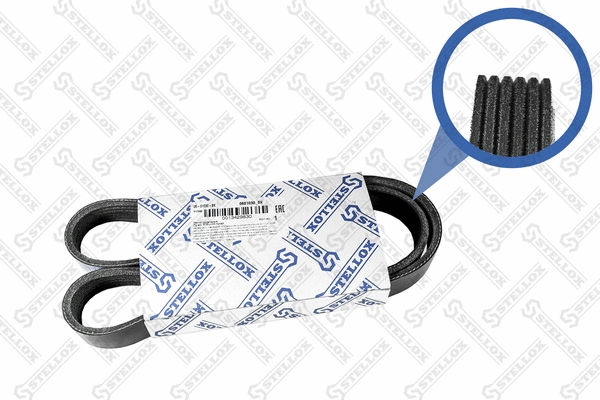 V-Ribbed Belt (06-01030-SX)