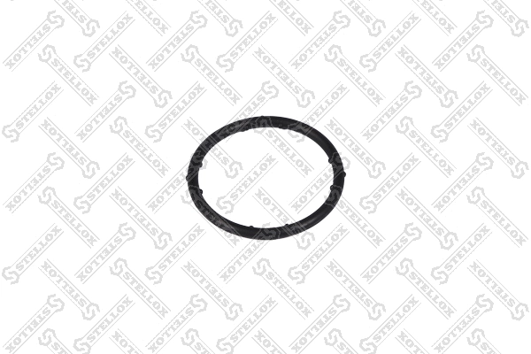 Gasket, coolant flange (89-01167-SX)