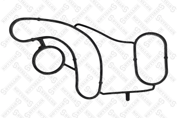 Gasket, oil cooler (11-25753-SX)