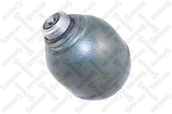 Pressure Accumulator, pneumatic suspension (70-00002-SX)