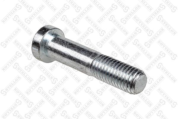 Screw