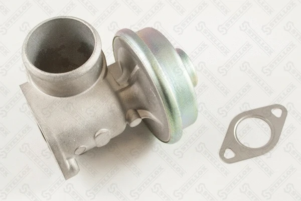 EGR Valve (01-25081-SX)