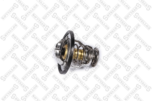 Thermostat, coolant (23-40246-SX)
