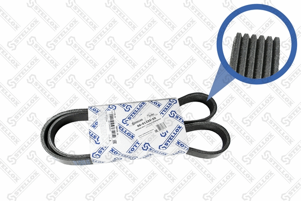 V-Ribbed Belt (06-01225-SX)