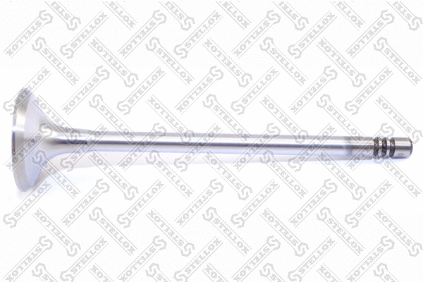 Exhaust Valve (01-24209-SX)