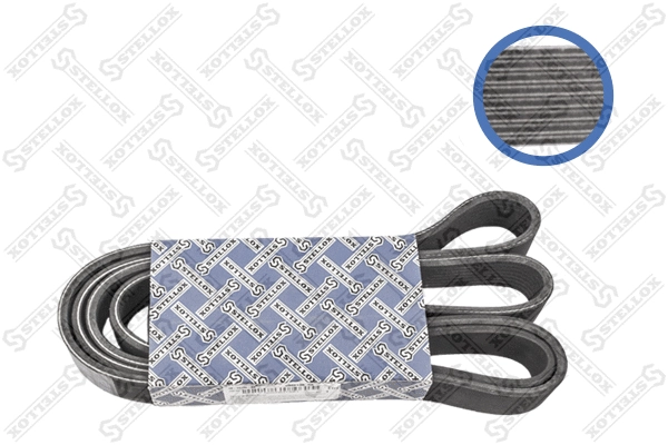 V-Ribbed Belt (08-02130-SX)