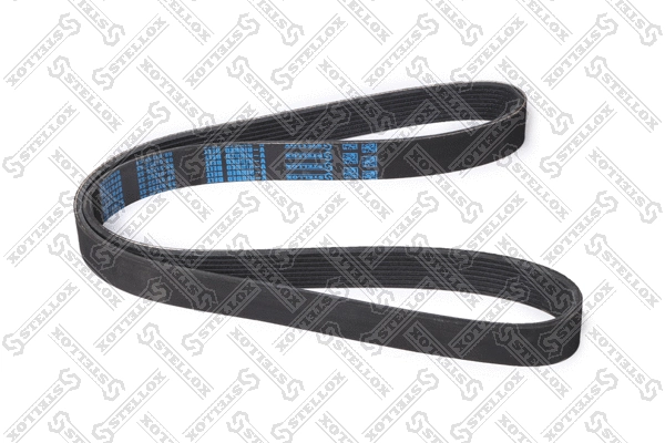 V-Ribbed Belt (08-01255-SX)