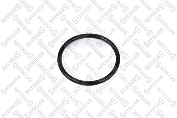 Seal, thermostat (11-25428-SX)
