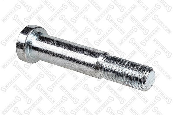 Screw