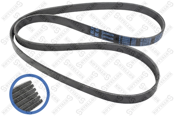 V-Ribbed Belt (06-01610-SX)